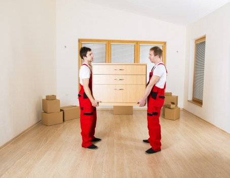 Local movers transporting household items in Docklands